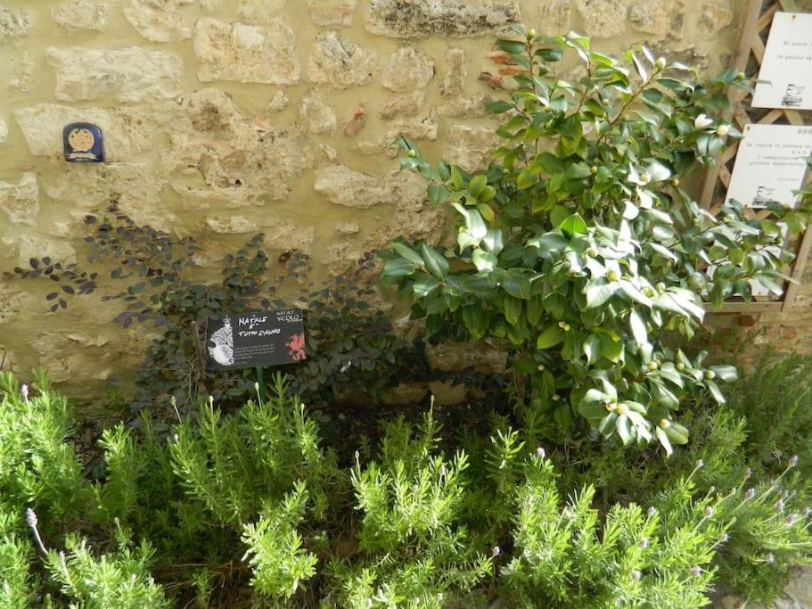 Casa Dell'Oliveto "Parcheggio Gratuito" Apartment Narni Exterior photo