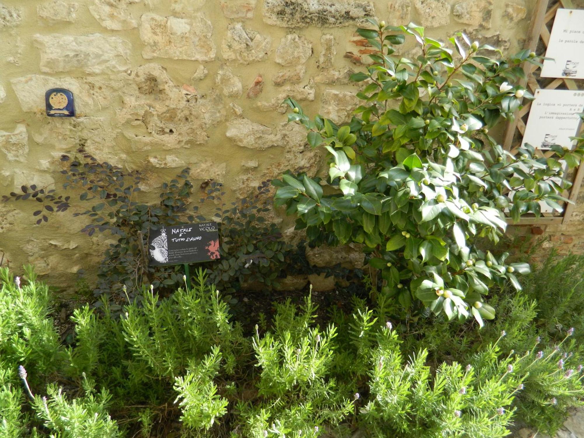 Casa Dell'Oliveto "Parcheggio Gratuito" Apartment Narni Exterior photo